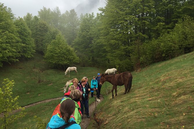 5-Days Hiking Tour to the North of Albania - Explore Captivating National Parks