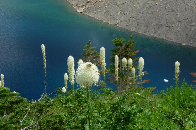 5 Days Hiking Trip in Waterton - Meal Plan and Dining