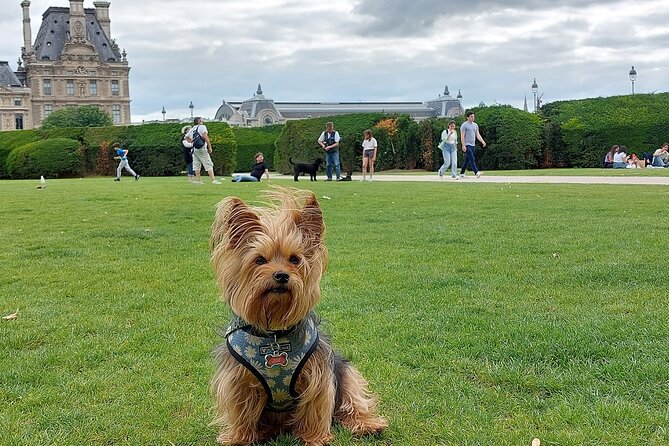 5 Days in Paris: Guided Tour With an Expert Francophile - Day 4: Versailles Palace and Gardens