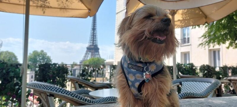 5 Days in Paris: Guided Trip (Complete Package)-Single Room - Itinerary Highlights