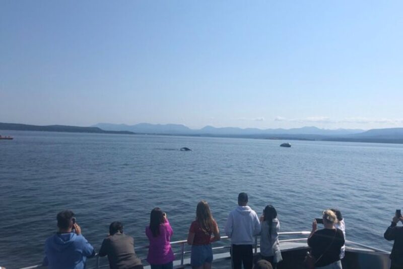 5 Days in Vancouver Multiactivity Adventure Tour - Nature and Wildlife Exploration