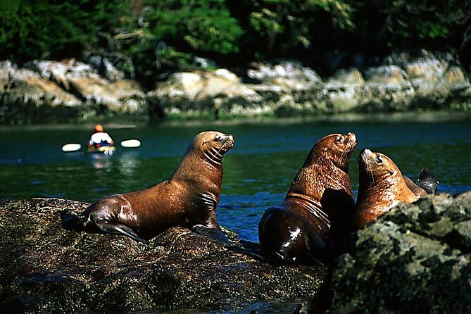 5 Days in Vancouver Multiactivity Adventure Tour - Expectations for the Tour