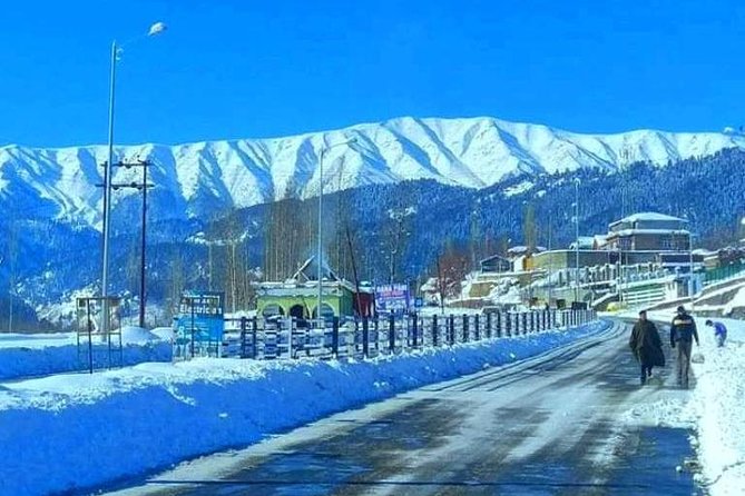 5-Days Kashmir Tour Includes Accommodation and Private Transportation - Key Points