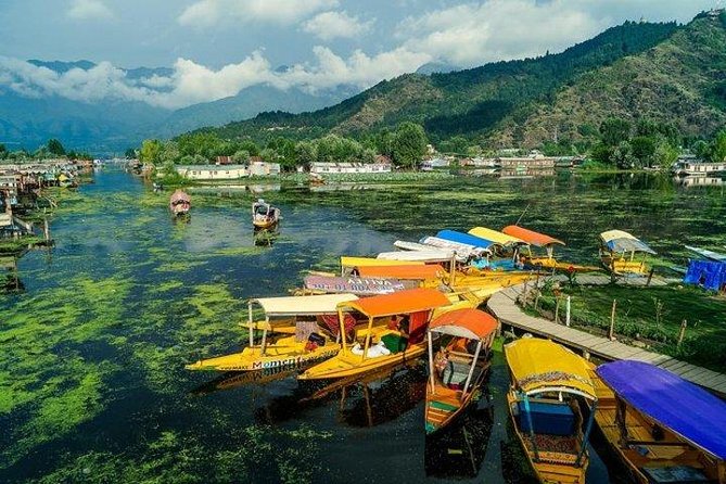 5-Days Kashmir Tour Includes Accommodation and Private Transportation - Highlights of the Tour