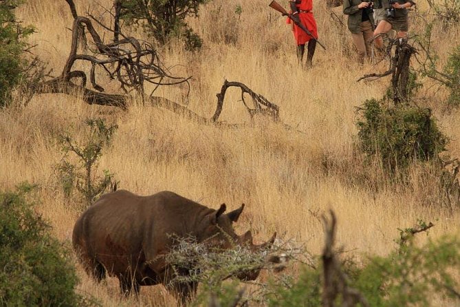 5 Days Kenya Masai Mara and Lake Nakuru Private Tour - Itinerary Day 1