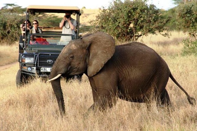 5 Days Kenya Masai Mara and Lake Nakuru Private Tour - Itinerary Day 2