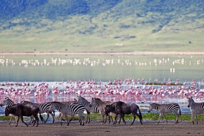 5 Days Kenya Masai Mara and Lake Nakuru Private Tour - Itinerary Day 3