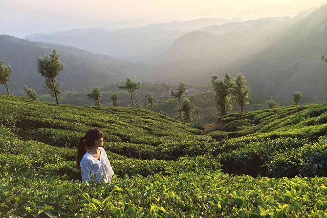 5 Days Kerala Private Premium Tour - Key Points
