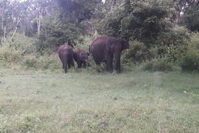 5 Days Kerala Tour Package - Private Tour With Exclusive Houseboat Stay - Special Considerations