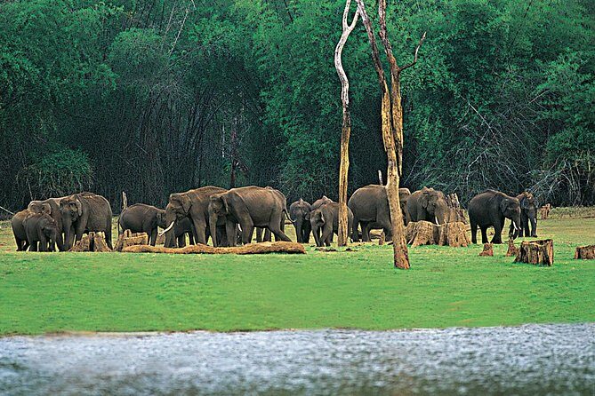 5 Days Kerala Tour Package With 4 Star Stays & Private Houseboat - Key Points