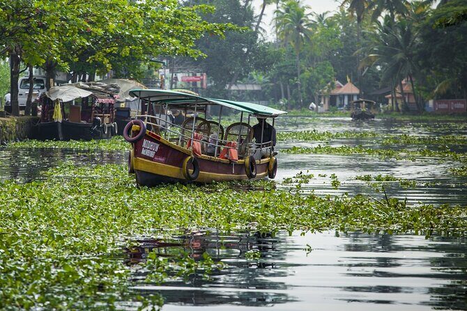 5 Days Kerala Tour with Private Car Houseboat Munnar and Thekkady - Exploring Kerala in 5 Days: A Detailed Breakdown