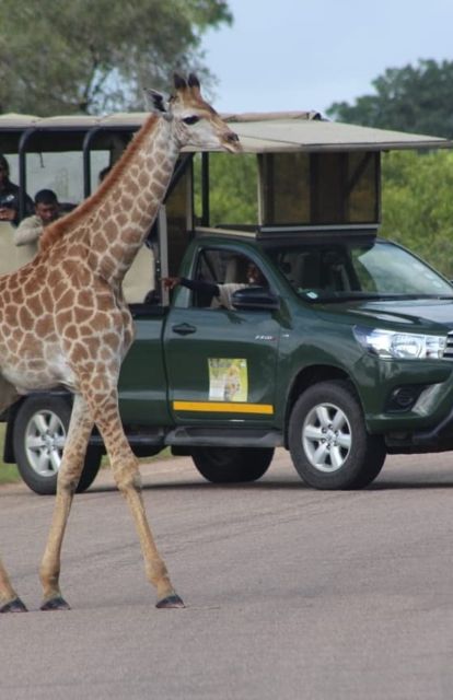 5 Days-Kruger Park and Panorama Route Tour From Johannesburg - Accommodation and Meals