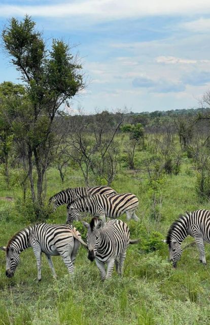 5 Days-Kruger Park and Panorama Route Tour From Johannesburg - Transportation and Accessibility