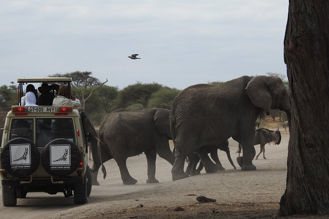 5-Days Lake Manyara, Serengeti, Ngorongoro Crater and Tarangire - Meeting and Pickup