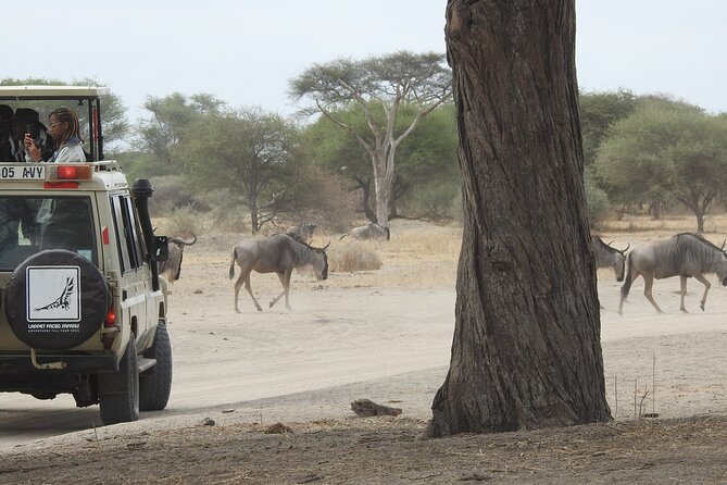 5-Days Lake Manyara, Serengeti, Ngorongoro Crater and Tarangire - UNESCO World Heritage Sites