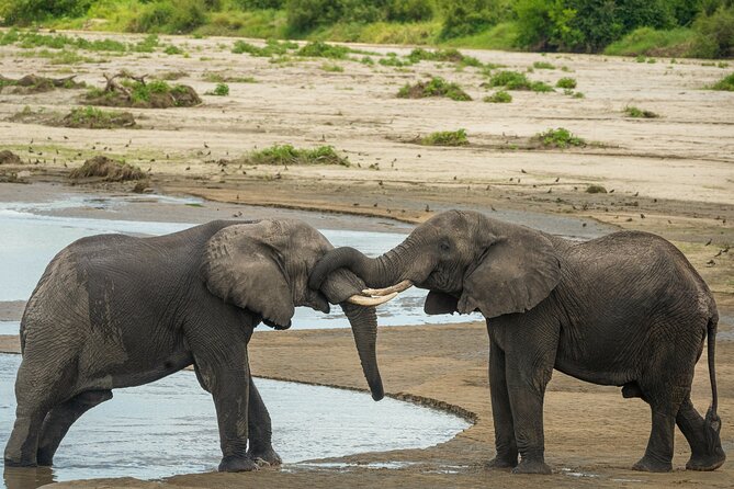 5 Days Lodge Luxury: A Taste of Tanzania Safari - Booking and Cancellation Policy