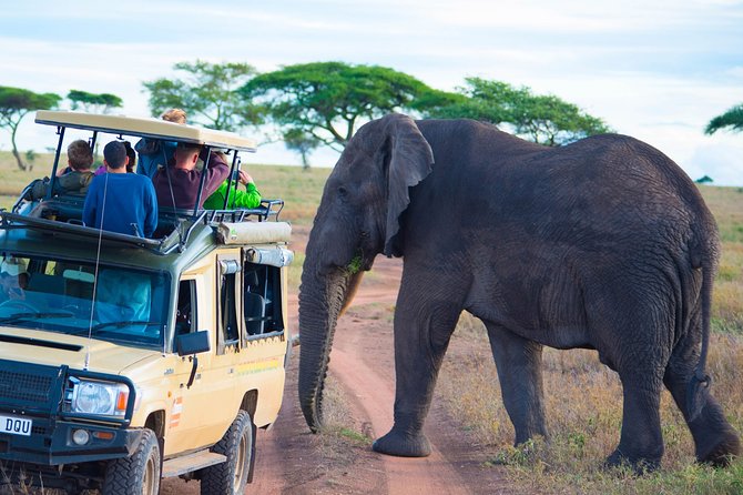 5 Days Lodge Safari. - Accommodation and Meals