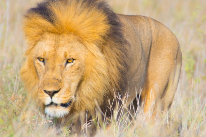 5 Days Lodge Safari. - Packing Recommendations