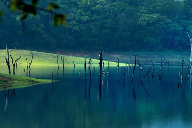 5 Days Luxury Kerala Tour With Houseboat Experience - Accommodation and Meals