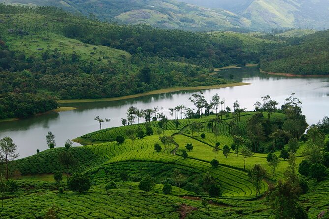 5 Days Luxury Kerala Tour With Houseboat Experience - Sightseeing Experiences