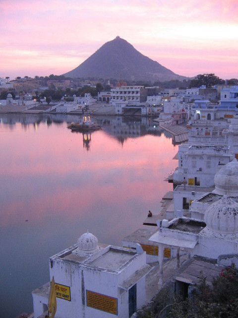 5 Days Luxury Private Tour by Car Jaipur Ranthambor Pushkar. - Key Points