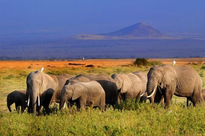 5 Days Maasai Mara, Lake Nakuru, Samburu Private Lodge Safari - Included Features