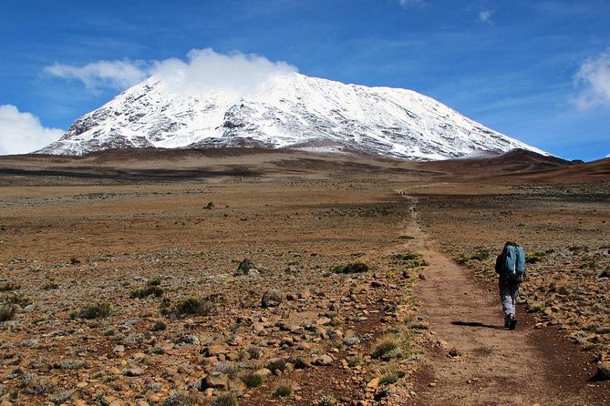 5 Days Marangu Route Kilimanjaro Trekking - Key Points
