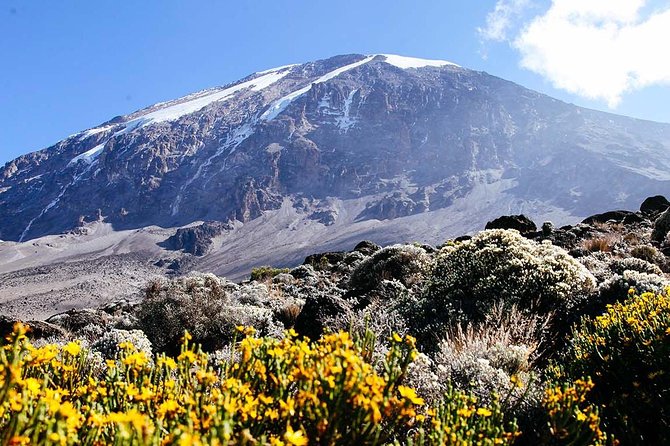 5 Days Marangu Route - Mount Kilimanjaro Trek - Participation Requirements