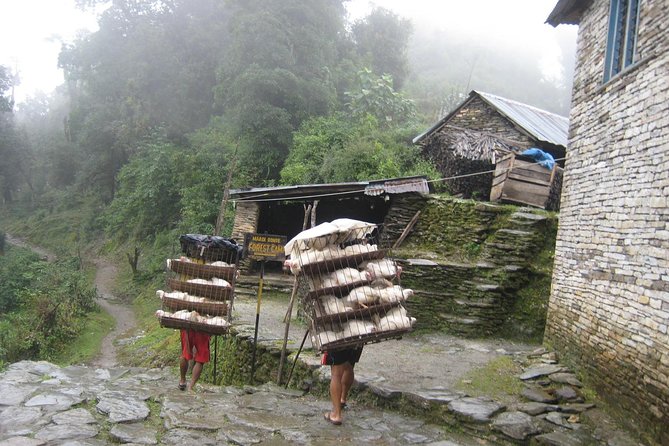 5 Days Mardi Himal Base Camp Trek - Whats Included