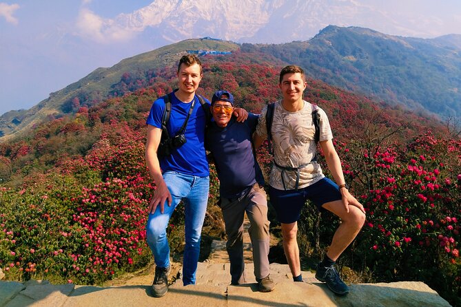 5 Days Mardi Himal Trek. - Traveler Experiences