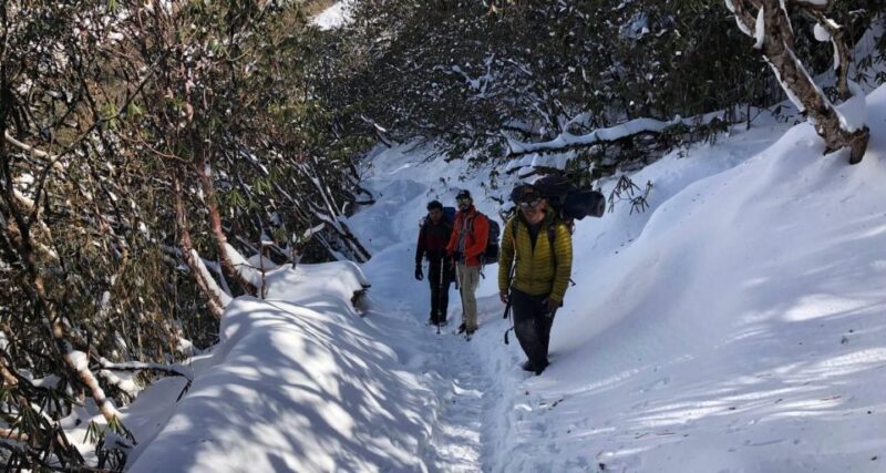 5 Days Mardi Himal Trek - Included Services