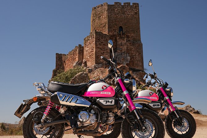 5 Days Motorcycle Fun Tour in the North of Portugal - Legal and Compliance
