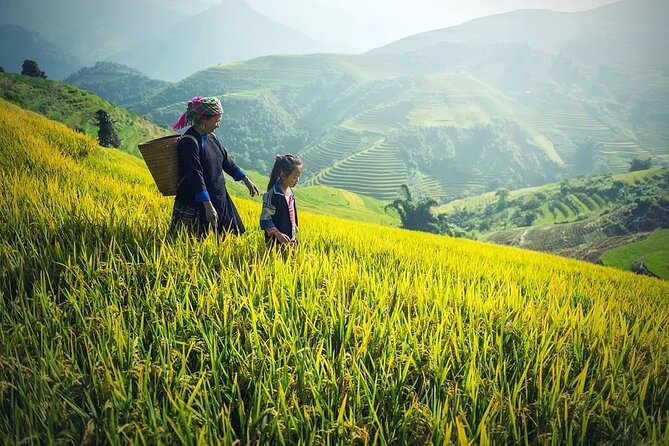 5 Days North Vietnam at a Glance:Hanoi, Halong Bay & Sapa - Detailed Itinerary