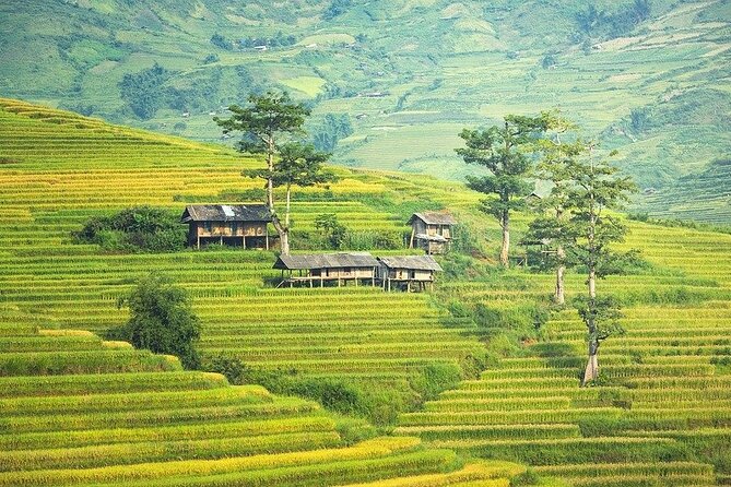 5 Days North Vietnam at a Glance:Hanoi, Halong Bay & Sapa - Customer Feedback and Ratings