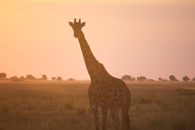 5 Days Northern Tanzania Budget Group Joining Safari - Inclusions