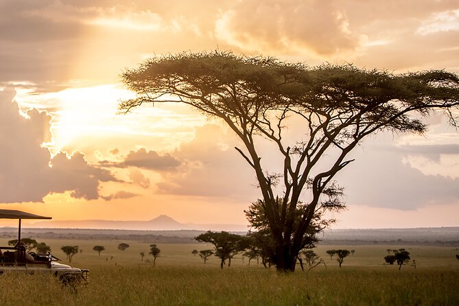 5 Days Northern Tanzania Budget Group Joining Safari - Pricing and Availability