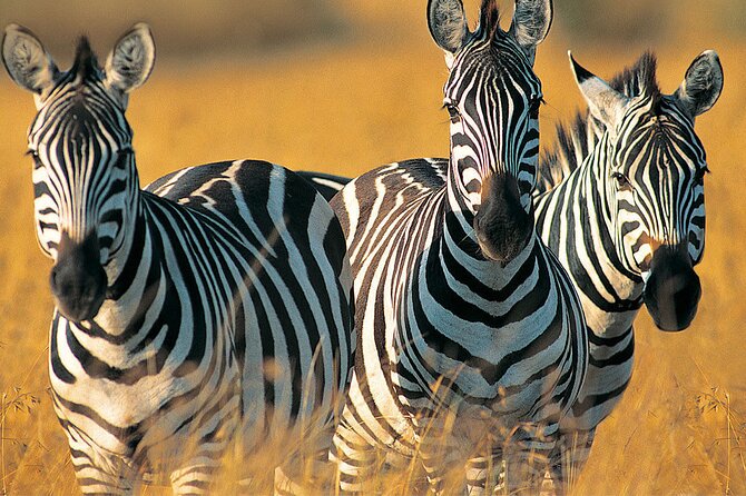 5 Days Northern Tanzania Budget Group Joining Safari - Safari Itinerary