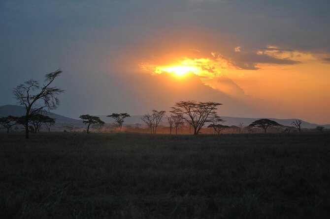5 Days Northern Tanzania Safari- Lodging - Dining Experiences