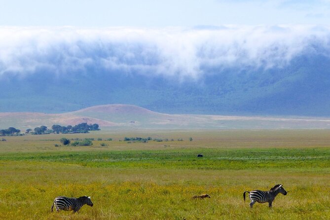 5 Days Northern Tanzania Safari- Lodging - Booking Policies