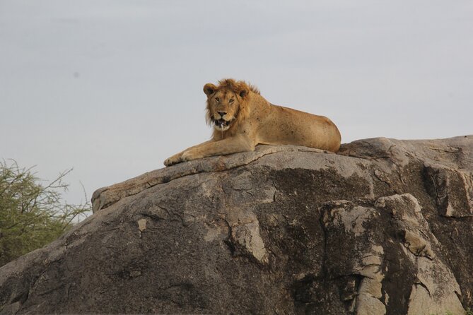 5 Days Nothern Tanzania Camping Safari - Accommodation Details