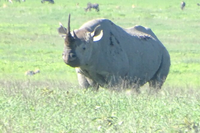 5 Days Nothern Tanzania Camping Safari - Traveler Reviews