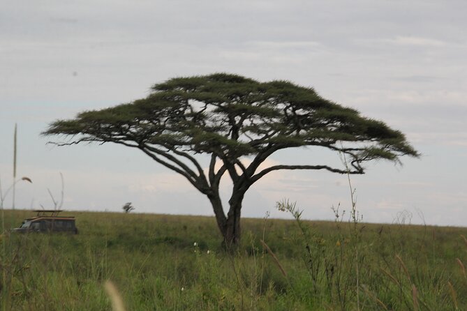5 Days Nothern Tanzania Camping Safari - Pricing Information