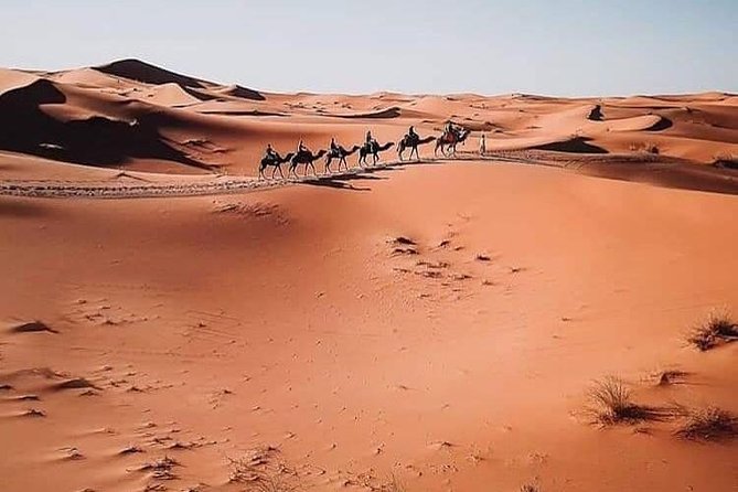 5 Days of Marrakech - Meeting and Pickup