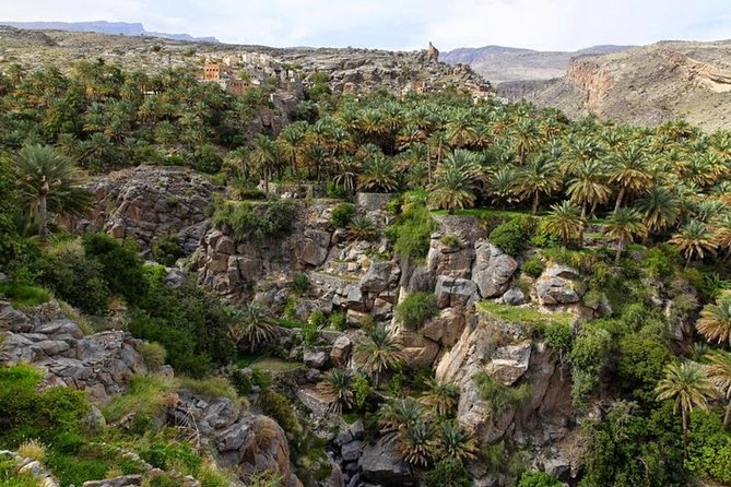 5 Days Package TOUR DINA - Pricing and Group Size