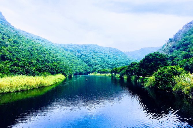 5 Days Private Guided Tour in Garden Route - Booking Process