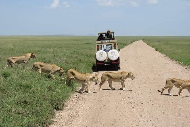 5-Days Private Midrange Safari: Serengeti, Ngorongoro & Manyara - Booking Details