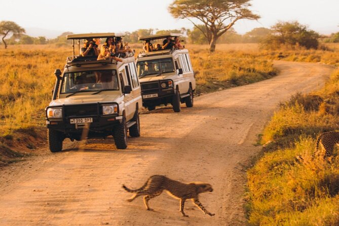 5-Days Private Midrange Safari: Serengeti, Ngorongoro & Manyara - Discover Ngorongoro