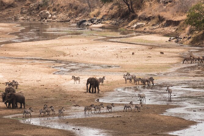 5-Days Private Midrange Safari: Serengeti, Ngorongoro & Manyara - Venture to Manyara