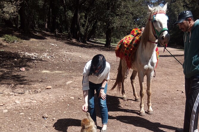5 Days Private Tour From Casablanca to Fes and Sahara Desert - Additional Tour Considerations