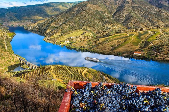 5 Days Private Tour in Portugal From Lisbon - Included Services and Amenities